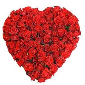 50 Red Rose in Heart Sha...