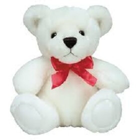 15 inch white Cute teddy
