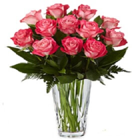 12 pink Rose in vase
